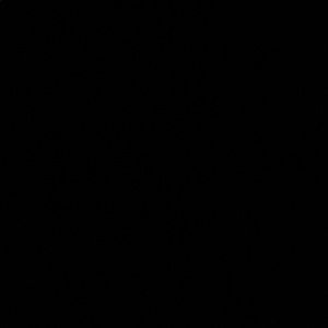 Meet your Posher, Gabriel